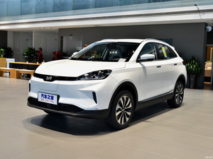 Wei Ma EX5 EV Car New Energy Vehicles